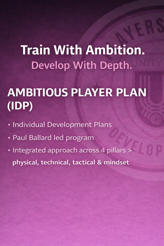 Ambitious Player Plan (IDP)